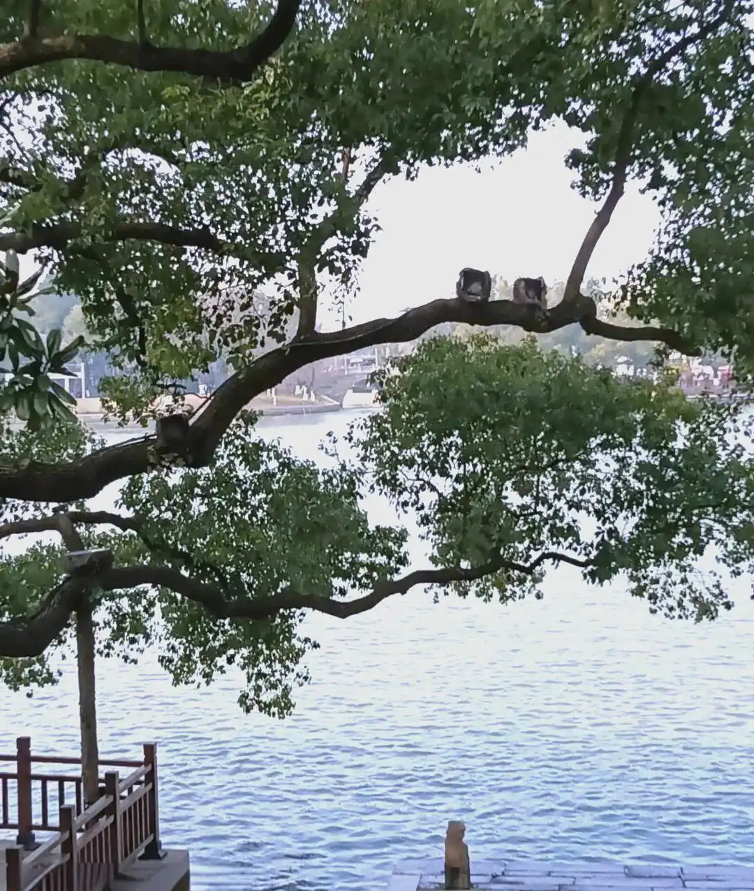 成都主要公园介绍_成都公园茶文化_成都休闲哪里好