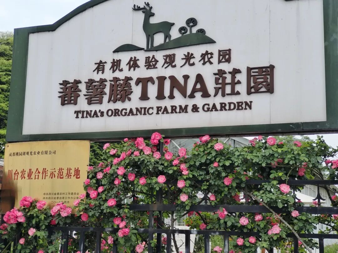 成都休闲哪里好_成都暑期游新场景线路_成都文旅新场景