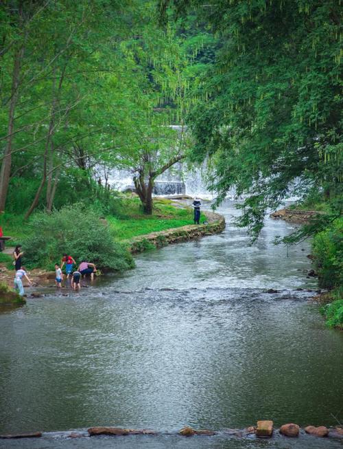 成都避暑胜地推荐_溪边森林的清凉_成都休闲哪里好