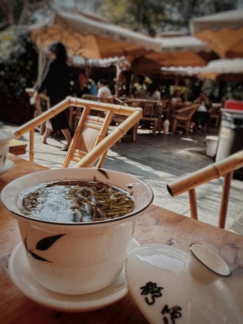 成都生活哲学：慢节奏里寻平衡，鹤鸣茶社品地道茶文化